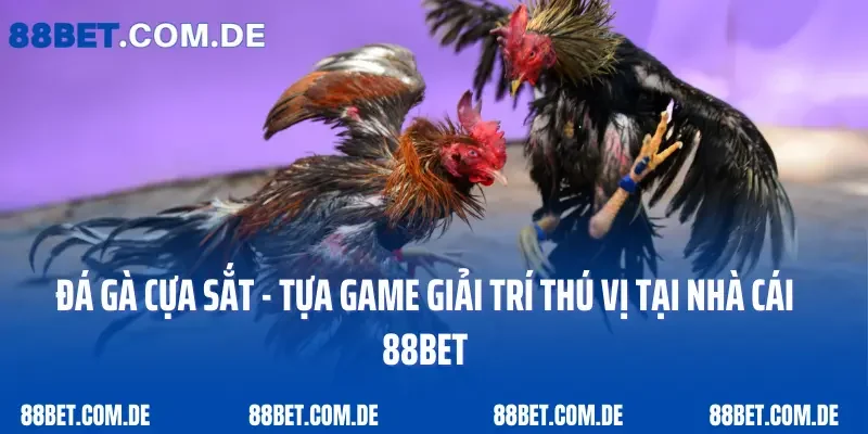 Đá Gà Cựa Sắt - Tựa Game Giải Trí Thú Vị Tại Nhà Cái 88bet
