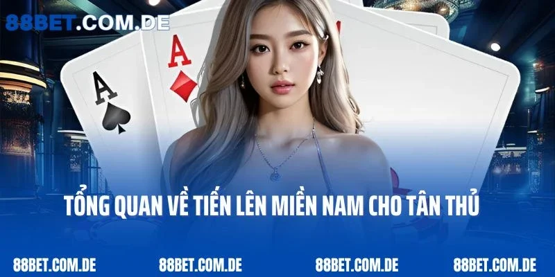 Tổng quan về tiến lên miền Nam cho tân thủ